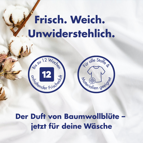 Wäscheparfüm - Baumwollblüte